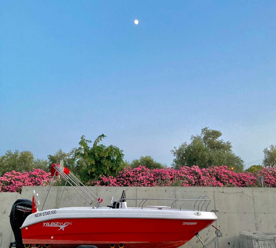 A red motorboat on a trailer with pink flowers and clear sky in the background, ideal for marine and travel themes.
